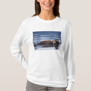Camiseta lontra marinha, Enhydra lutris lutris