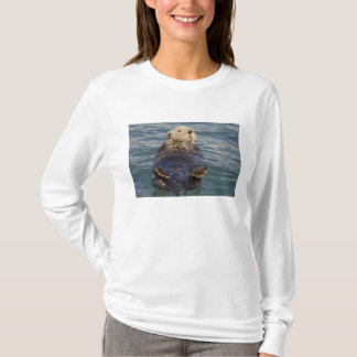 Camiseta Lontras marinhas brincam em icebergs na Enseada Su