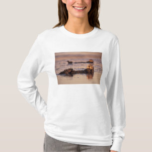 Camiseta Lontras Marinhas, Enhydra lutris 3