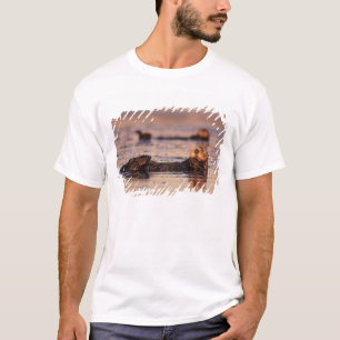 Camiseta Lontras Marinhas, Enhydra lutris 3