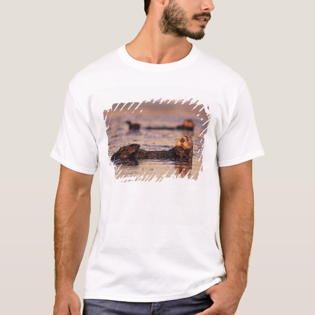 Camiseta Lontras Marinhas, Enhydra lutris 3 (Frente)