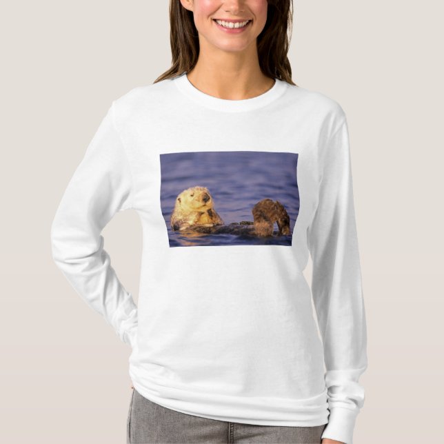 Camiseta Lontras Marinhas, Enhydra lutris 4 (Frente)