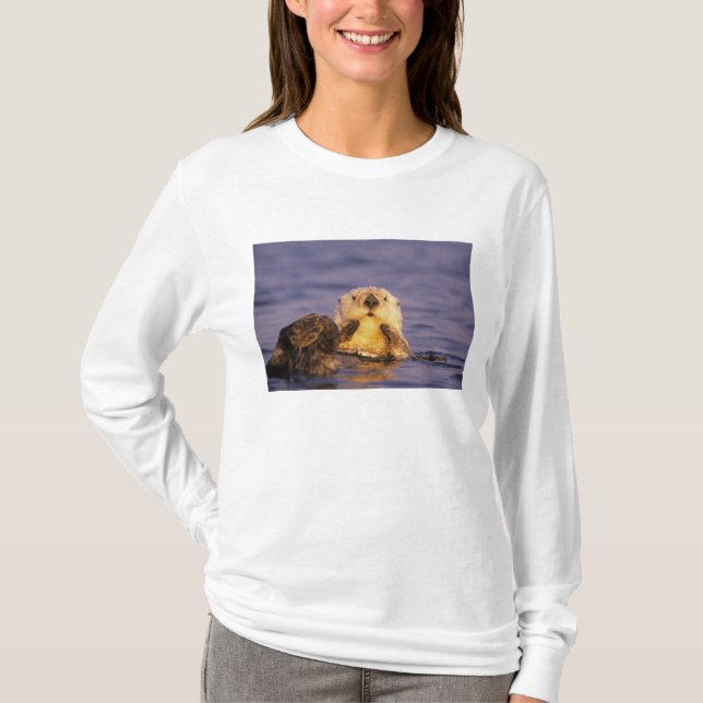 Camiseta Lontras Marinhas, Enhydra lutris 5 (Frente)