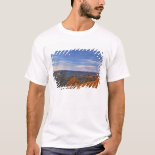 Camiseta Looking Glass Rock ao nascer do sol no Pisgah