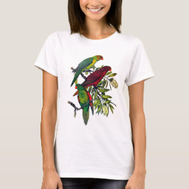 Camiseta Lories e lorikeets