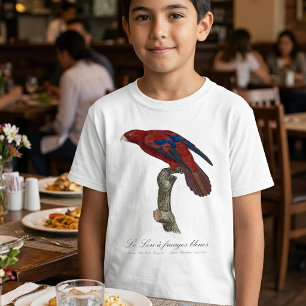 Camiseta Lório-de-cauda-vermelha, Trichoglossus borneus