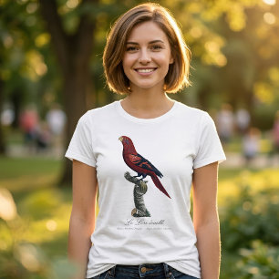 Camiseta Lório-de-listras-azuis, Trichoglossus reticulatus