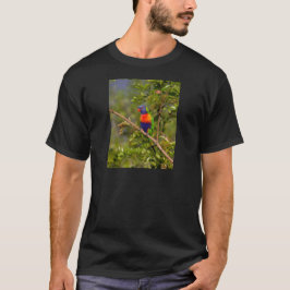Camiseta Loriqueet arco-íris