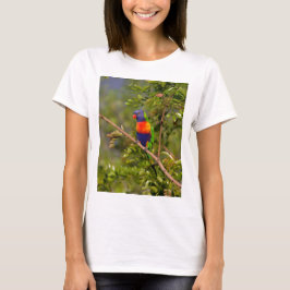 Camiseta Loriqueet arco-íris