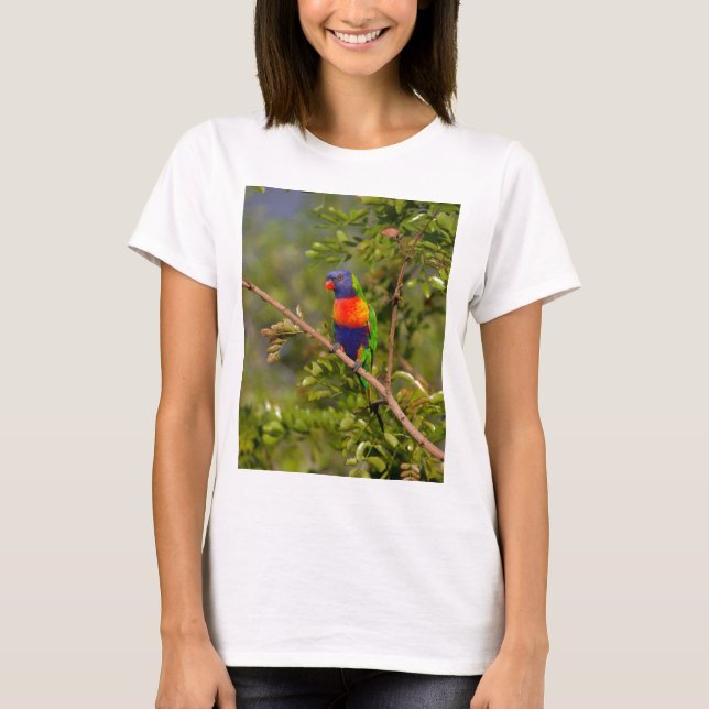 Camiseta Loriqueet arco-íris (Frente)