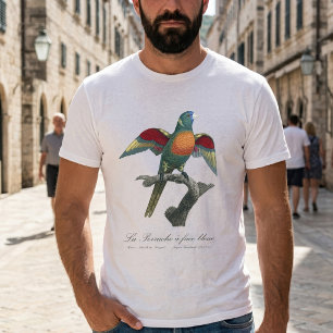 Camiseta Loriqueet Louro, Trichoglossus haematodus