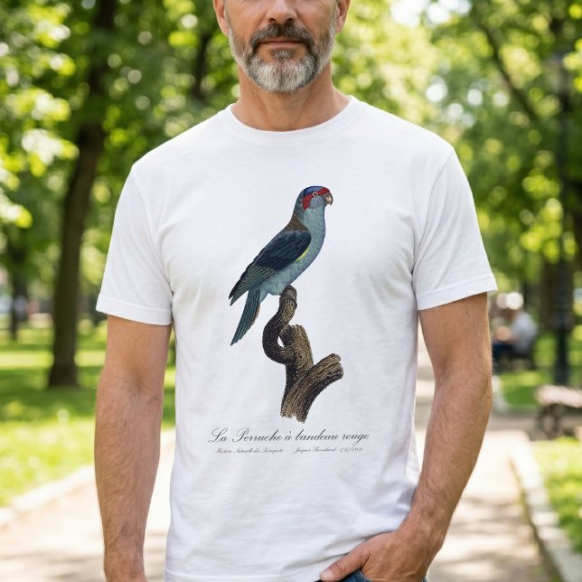 Camiseta Loriqueito-de-musk, Trichoglossus concinnus (Musk Lorikeet, Trichoglossus Concinnus. Men Basic White T-Shirt)