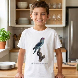 Camiseta Loriqueito-de-musk, Trichoglossus concinnus