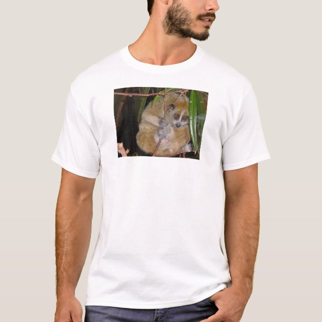 Camiseta Loris (Frente)