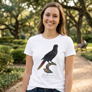 Camiseta Lóris-preto ou Chalcopsitta atra