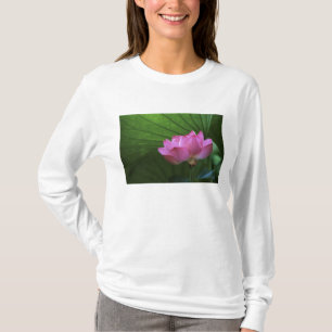 Camiseta Lótus Ohga, Jardim Sankei-en, Yokohama, Japão