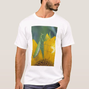 Camiseta Louva-a-deus fêmea