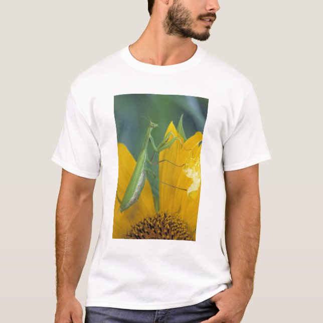 Camiseta Louva-a-deus fêmea (Frente)