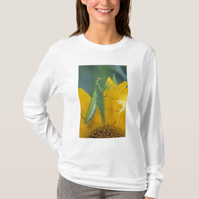 Camiseta Louva-a-deus fêmea (Frente)