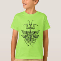 Louva-a-deus Praying inspirada