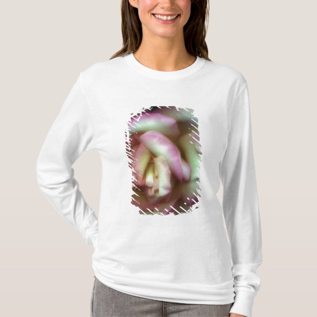 Camiseta <Love is a Rose> por Nathan Griffith (Frente)