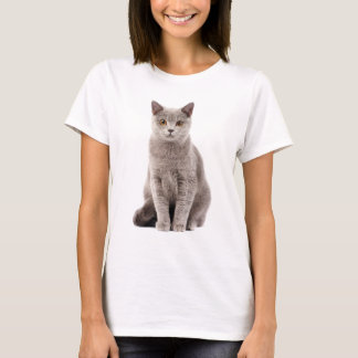 Camiseta Lovely Gray Cat with Golden Eyes