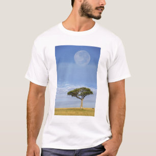 Camiseta Lua cheia acima das árvores de acácia, Masai Mara,