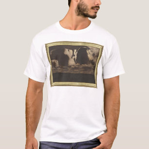 Camiseta Luar, 1887