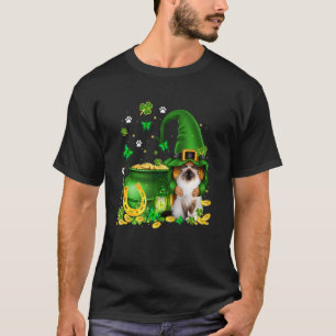 Camiseta Lucky Gnome U2013 Gnome Hug Birman Cat St Patricks