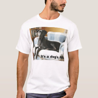 Camiseta Lunk, é a vida de um cão