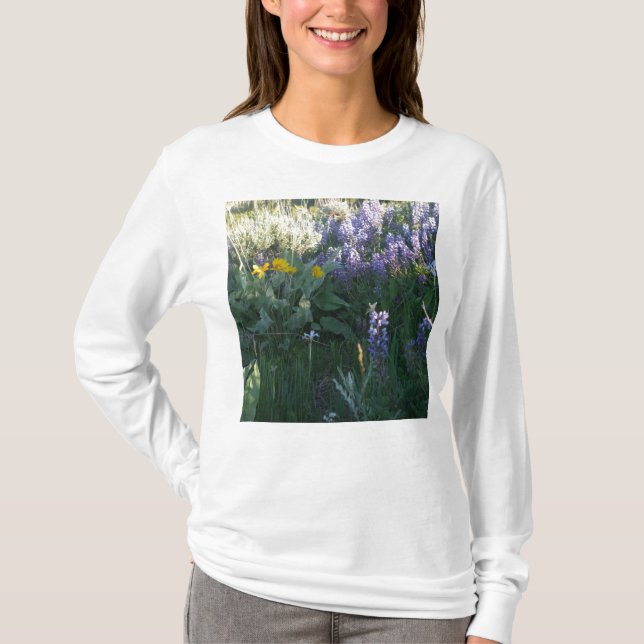 Camiseta Lupine da montanha rochosa (Frente)
