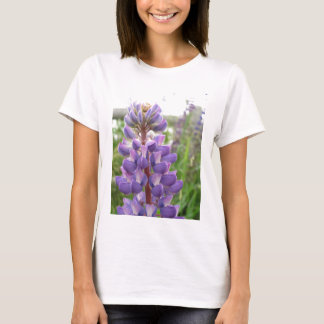 Camiseta Lupines