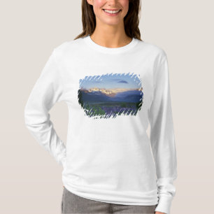 Camiseta Lupino e a Divisão Principal, Arthur's Pass, Sul