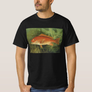 Camiseta Lutiano Vermelho por Kilbourne, Vida Marinha Antig