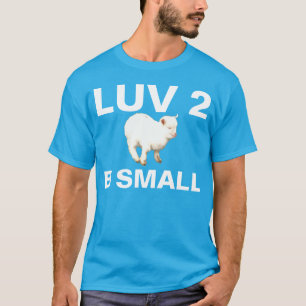 Camiseta luv 2 b pequeno
