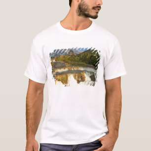 Camiseta Luz da manhã cumprimenta Swiftcurrent Falls no