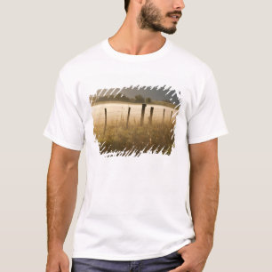 Camiseta Luzes do nascer do sol nevoeiro ao longo da cerca