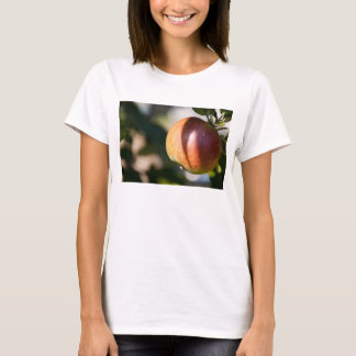 Camiseta Maçã
