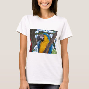 Camiseta Maca tropical verde-amarela e azul