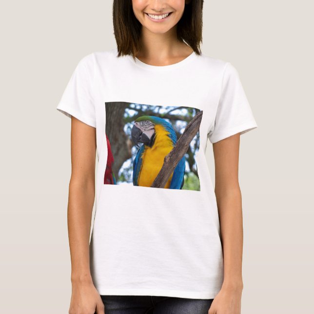 Camiseta Maca tropical verde-amarela e azul (Frente)
