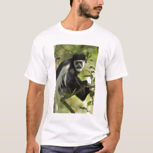Camiseta Macaco Colobo Preto e Branco