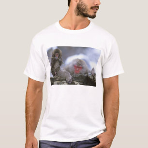 Camiseta Macaco da Neve Mãe e Filho, Jigokudani, Nagano,