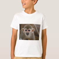 Macaco de aranha