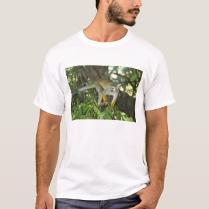 Camiseta Macaco-de-cheiro-comum, (Saimiri sciureus), Rio