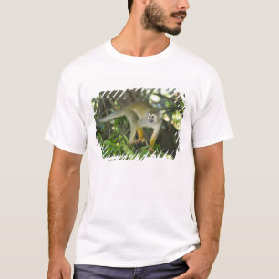 Camiseta Macaco-de-cheiro-comum, (Saimiri sciureus), Rio