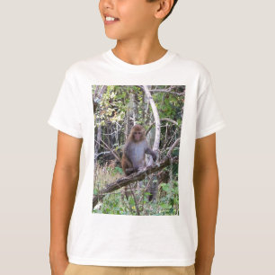 Camiseta macaco de macaque do rhesus 001a