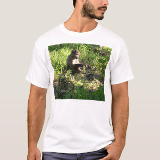 Camiseta Macaco do bebê