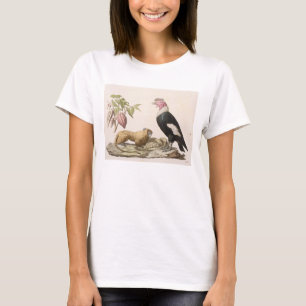 Camiseta Macaco e condor de leão, nativos ao Chile ou a