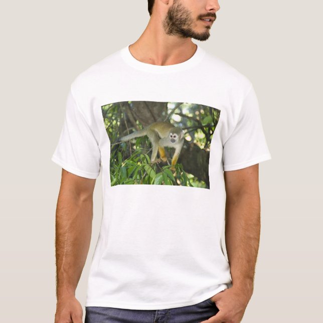 Camiseta Macaco-Esquilo-Comum (Saimiri sciureus), Rio (Frente)