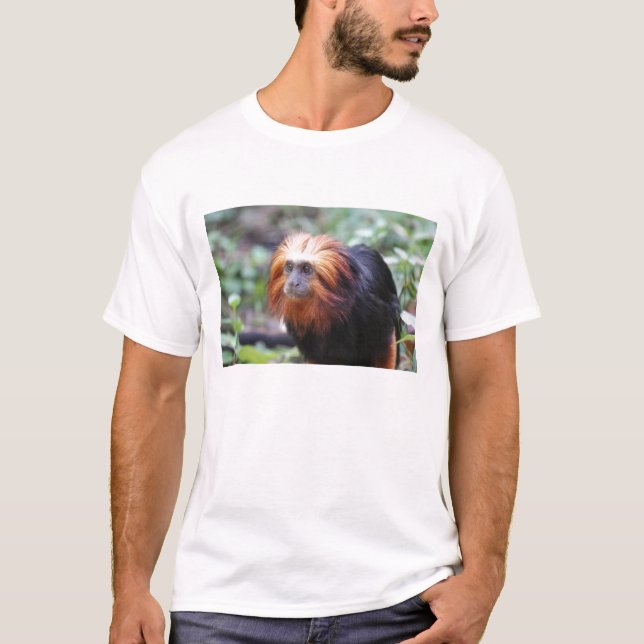 Camiseta Macaco Leão-Leão-Leão-ouro (Frente)
